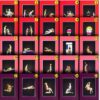 cartas 50 posiciones de bondage